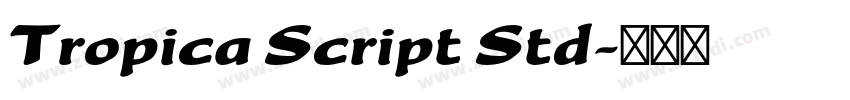 Tropica Script Std字体转换